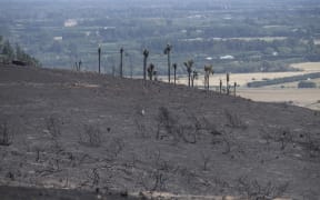 Aftermath of the fires in the Port Hills, Christchurch. Thursday. 16 February 2017