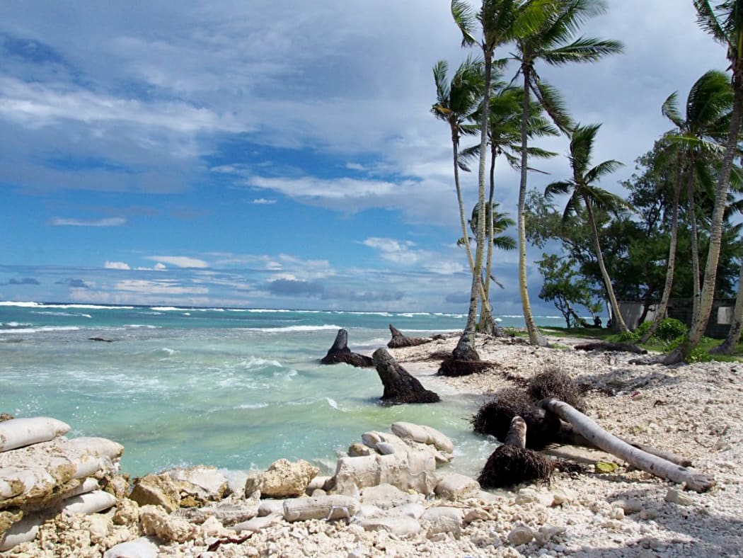 Toppled coconut trees at Temaiku, a village in Tarawa.