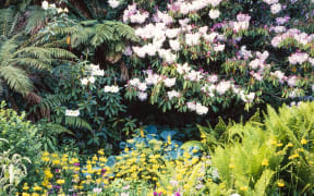 Log in a flower garden