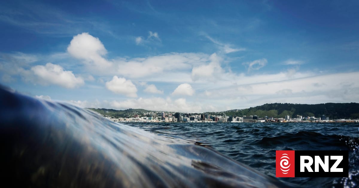 One-in-100-year coastal floods now happening twice a year in Wellington ...