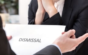 An independent investigator has been appointed by the Transport Ministry's chief executive to look into claims Harrison had staff who were raising red flags about her restructured out of the organisation.