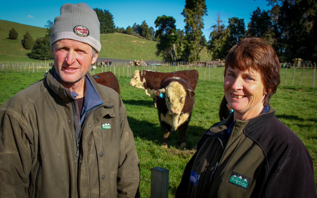 Murray and Fiona Curtis started Riverlee Stud four years ago on their Rangiwahia farm.