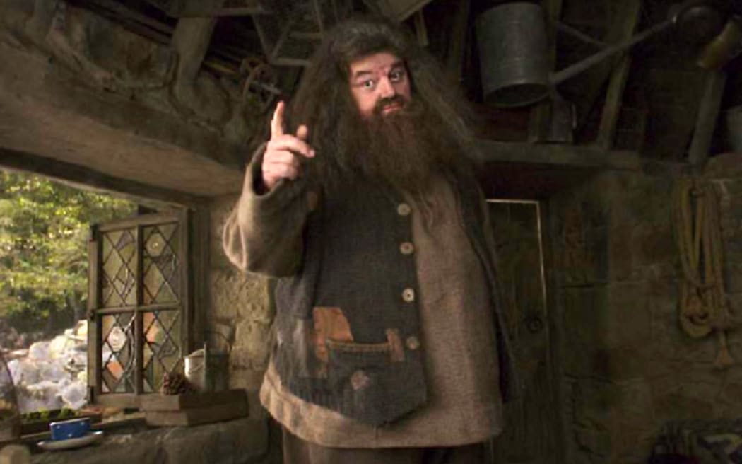 My Hagrid Halloween Costume (RIP) : r/harrypotter