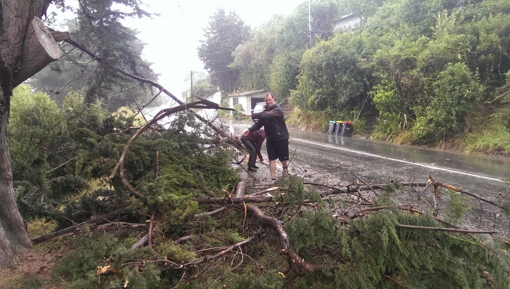 Locals clear a fallen tree off the road on Banks Peninsula.