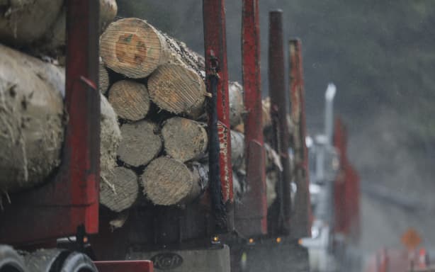 Bad rainstorm away from disaster: Why proposed forestry rule changes ...