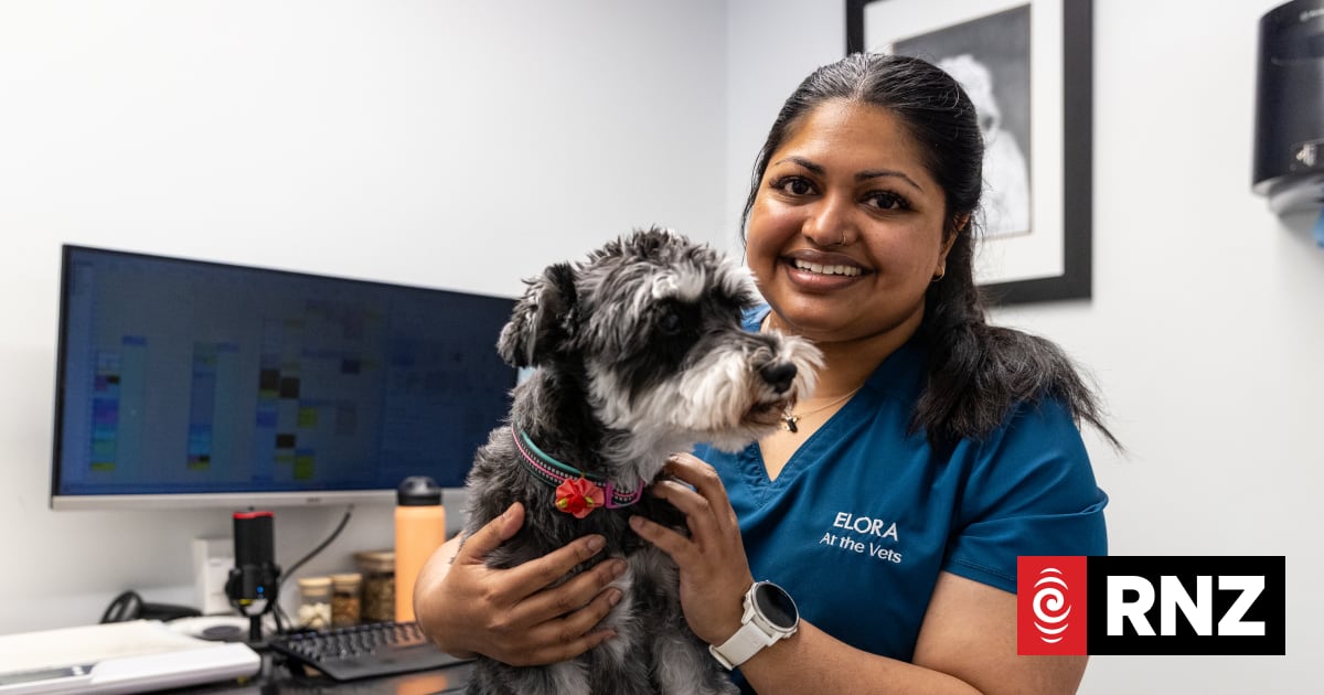 Taking care of your pets within the budget