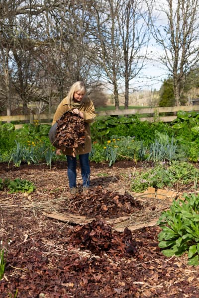 Leaves are a great soil-builder, Lynda Hallinan says.