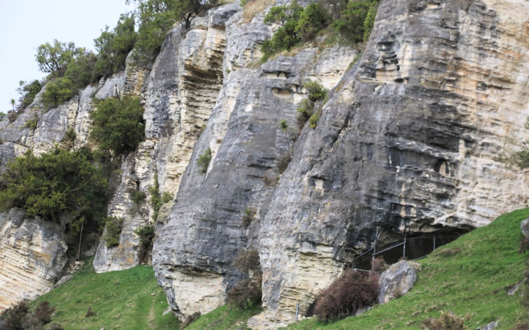 Valley of the Moa