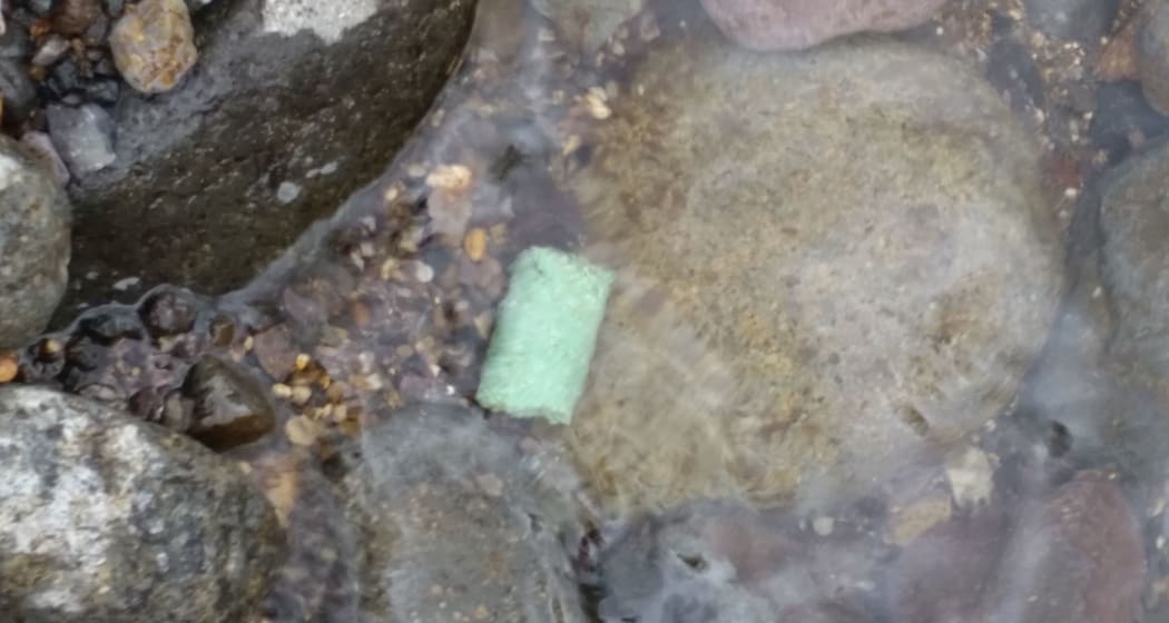 1080 pellets photographed by protestors in the Kauaeranga River.