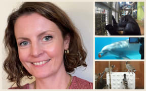 Composite image of Fay Clark and various animal games.