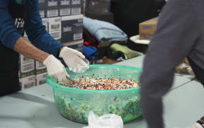 Volunteers prepare meals at Papakura Marae for those in need as unemployment rises.