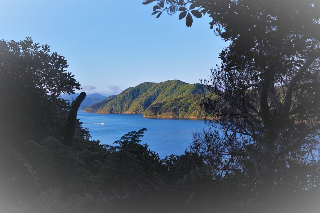 The cove at the northern head of Marlborough's Queen Charlotte Sound was where Captain Cook first dropped anchor in the South Island.