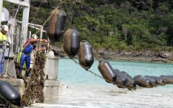 A mussel farm. The aquaculture industry is hoping to develop offshore marine farms.