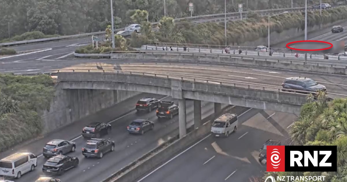 Fatal crash blocks all lanes headed south on State Highway 1 near ...