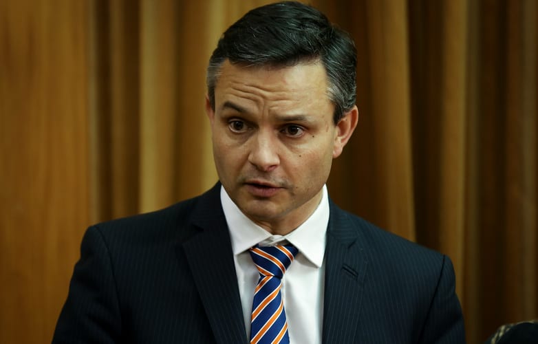 Green Party co-leader James Shaw