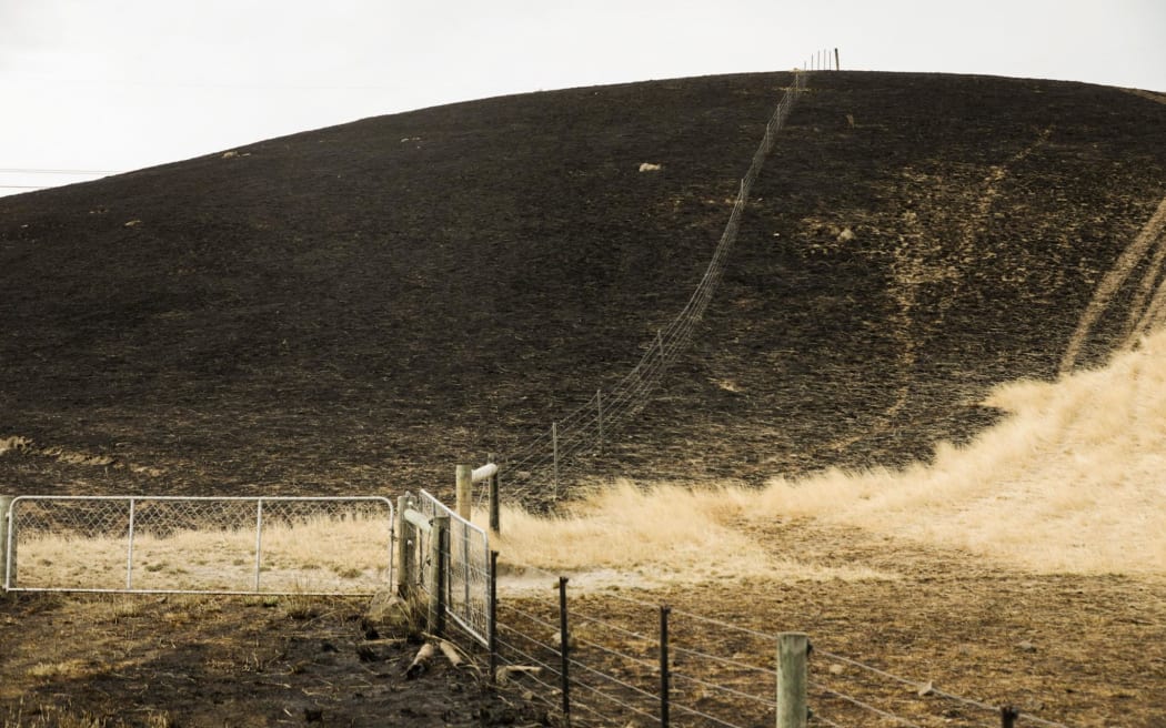 A vegetation fire has burnt through land and fences on Waikari Valley Road in Canterbury. Photo taken - 19 February 2024.