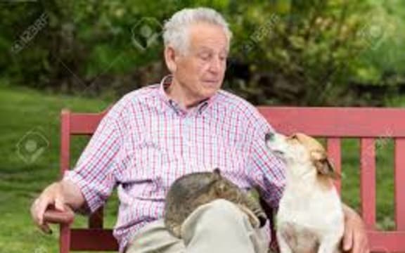 talking to pets