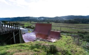 The vert skate ramp at Dave North's house in Nelson Creek, on the South Island's West Coast.