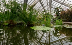 New fundings for The Begonia House