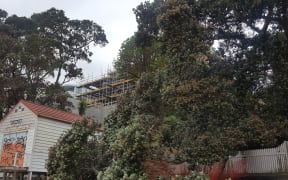 The Dukes have consent from the Auckland Council to transform the boat shed at the property.