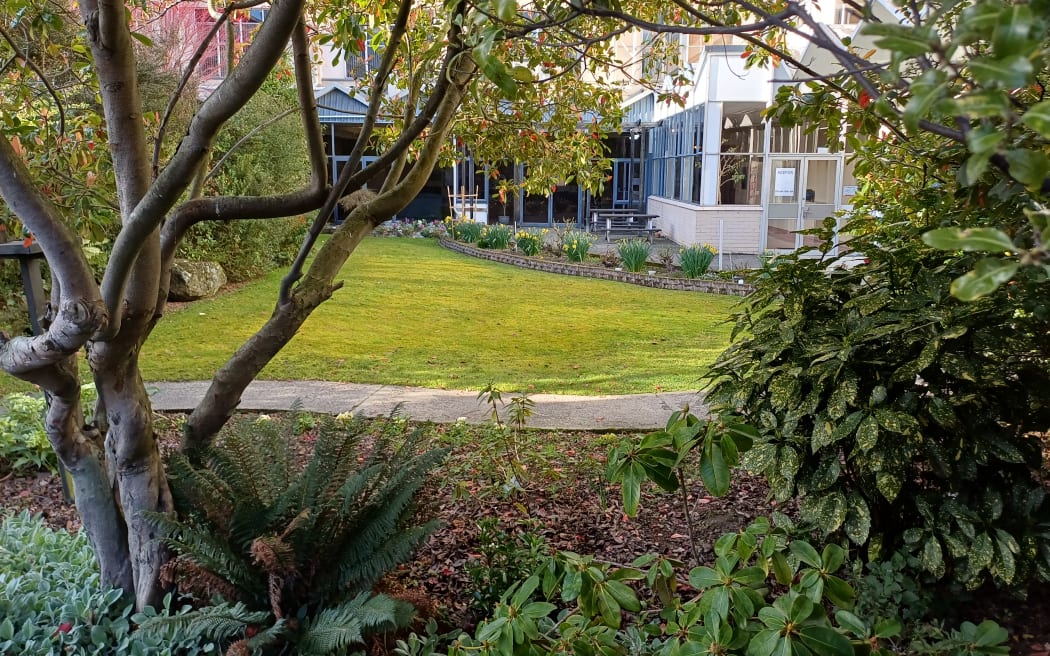 A garden in central Dunedin.