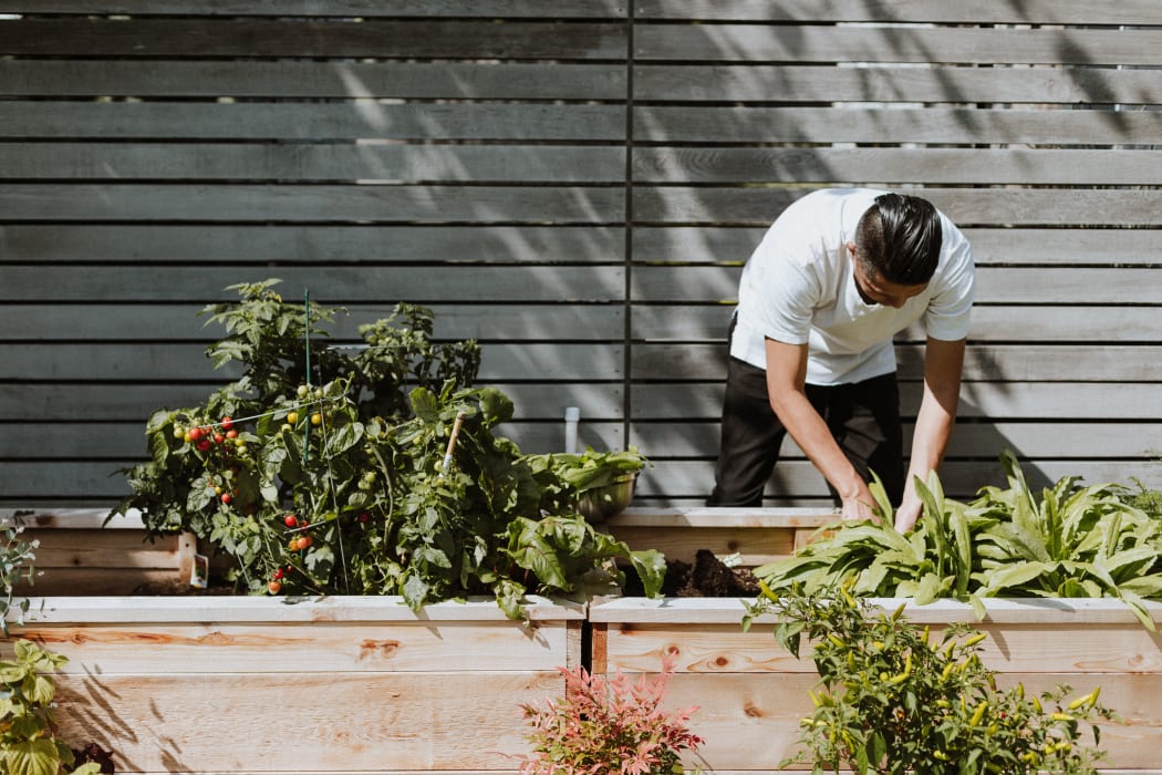 man gardening at home