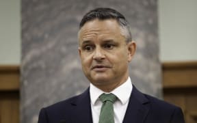 Green Party co-leader James Shaw
