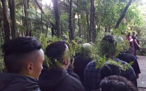 Te Kawerau ā Maki announced a rāhui to discourage people from visiting the Waitakere Ranges in a bid to stop the spread of kauri dieback.