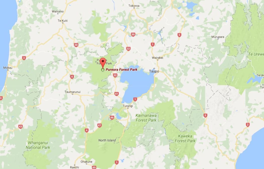 The helicopter caught fire wile flying over Pureora Forest.