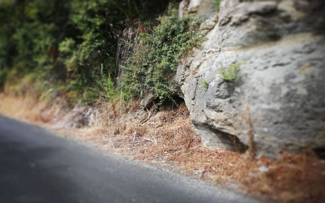 The entrance to the cave.