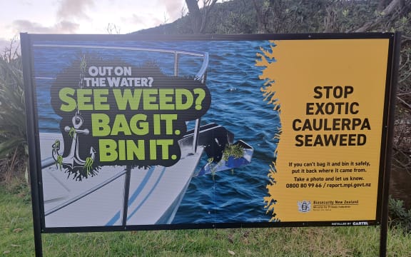 Warning sign about Caulerpa on Great Barrier Island.