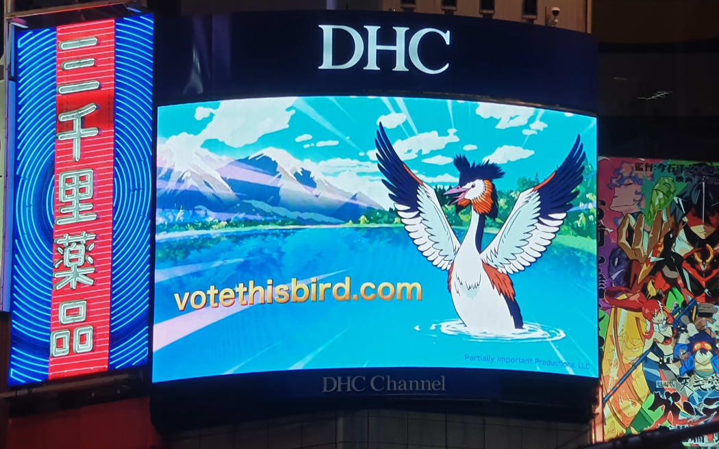 A shot from US comedian John Oliver's segment on New Zealand's Bird of the Year.
