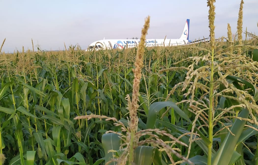 In this handout photo released by Russian Emergency Situations Ministry, the Airbus A321 plane, which made a hard landing in a corn field near Zhukovsky Airport, in Moscow region, Russia.