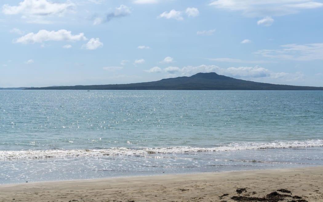 Narrow Neck Beach on Auckland's North Shore.