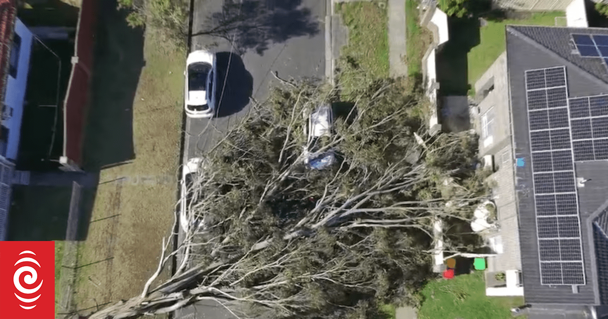 Thousands still without power in Western Sydney as outages plague NSW residents