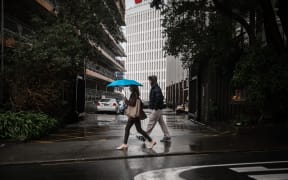 Wellington Rain
