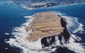 Waikawa/Portland Island