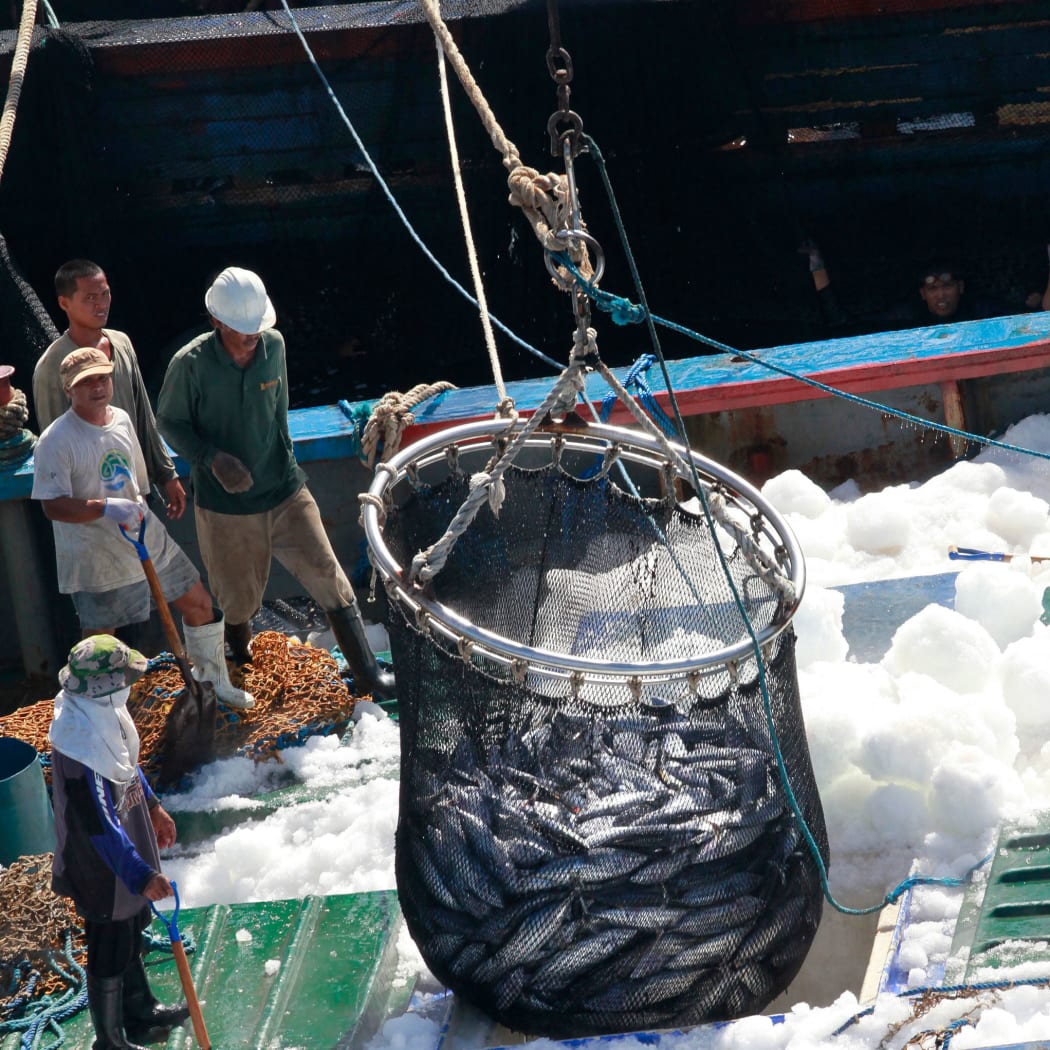 A handout photo taken by Greenpeace on November 24, 2011 and released on November 27, 2011 shows a catch of tuna as it is is trans-shipped from an illegal, unregistered and unlicensed (IUU) purse seine fishing vessel onto a reefer, or cold storage vessel in waters close to the border of Indonesia's Exclusive Economic Zone (EEZ). Purse seining on the high seas is illegal since an agreement was signed in 2008. In addition to breaking international law, the fishing of juvenile yellowfin tuna is unsustainable. Greenpeace is in the Western and Central Pacific ocean on a 'Defending Our Pacific' expedition to campaign for the establishment of a network of marine reserves and an end to overfishing. ---EDITORS NOTE-- RESTRICTED TO EDITORIAL USE MANDATORY CREDIT "AFP PHOTO / GREENPEACE / ALEX HOFFORD" ---- NO MARKETING NO ADVERTISING CAMPAIGNS - DISTRIBUTED AS A SERVICE TO CLIENTS (Photo by ALEX HOFFORD / GREENPEACE / AFP)