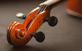 violin