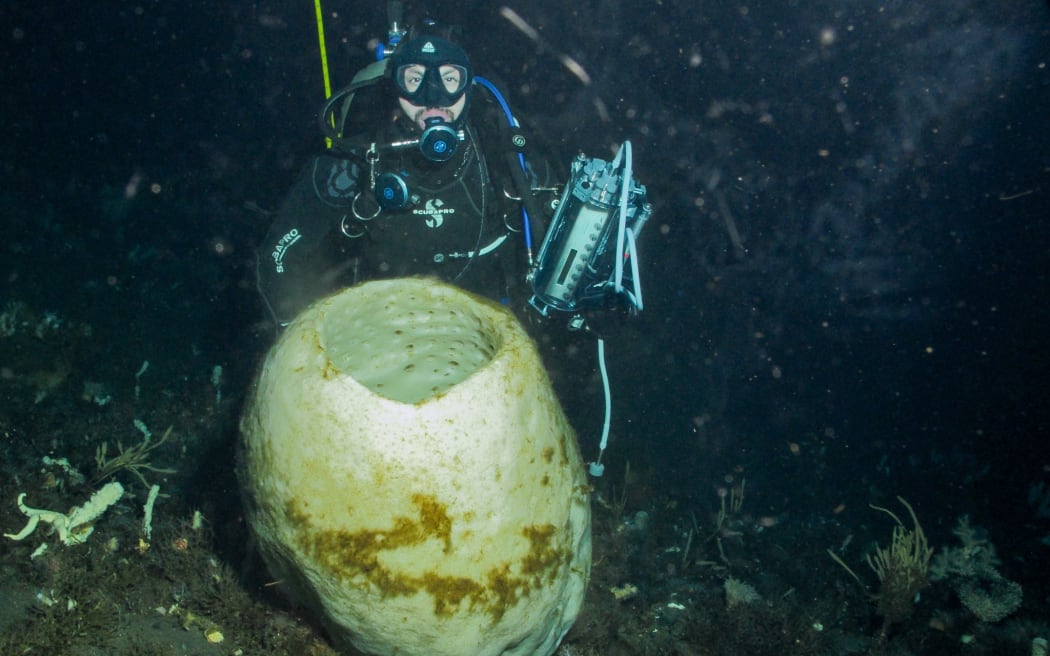 A diver in scuba gear resting above the muddy seafloor behind an off-white hollow cylinder structure that reaches his torso in height. The water is dark and there are other coral-esque structures littered over the seafloor.