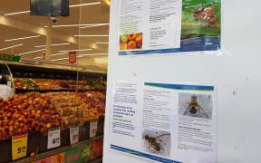 Sign in Devonport New World about the Queensland fruit fly