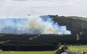 The fire broke out in an orchard near Taipā Area School.