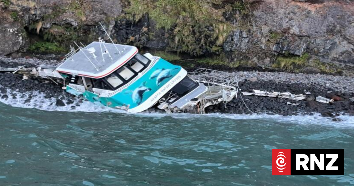 Salvage operation begins to recover wrecked Black Cat tourist boat from Akaroa Harbour