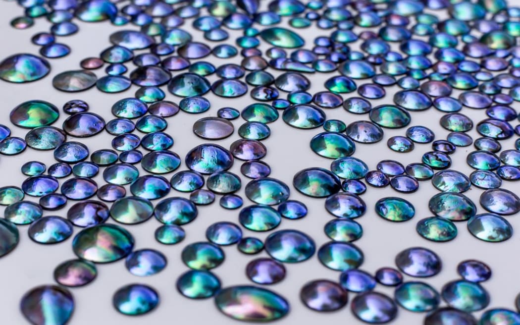 Paua pearls growing on land in Marlborough Sounds RNZ
