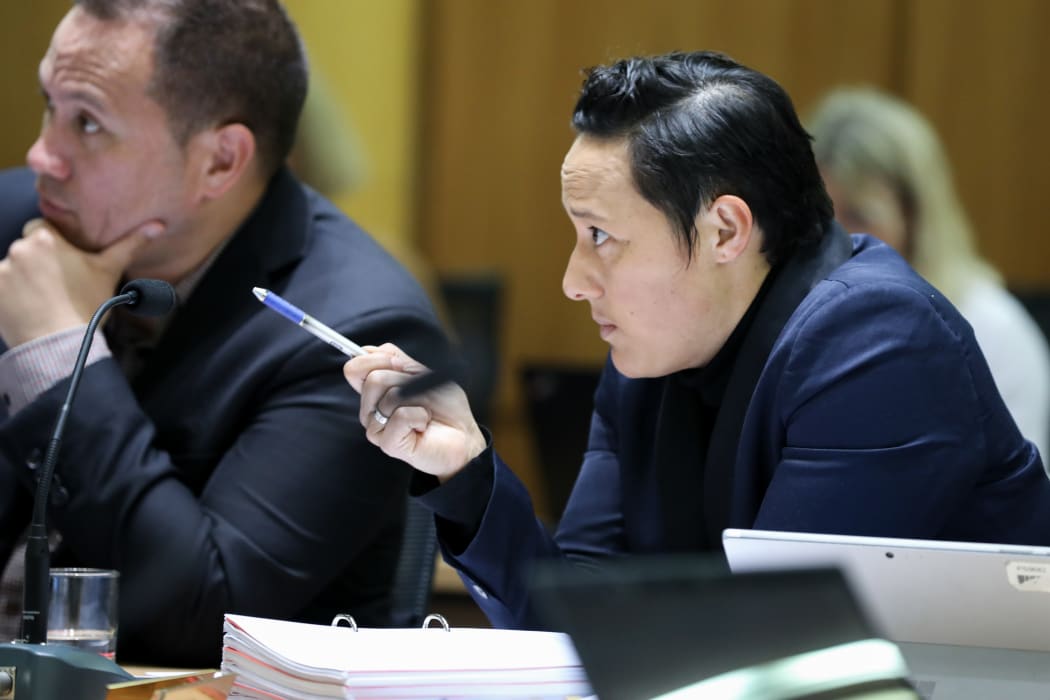 Labour MP Kiri Allan questions submitters in committee