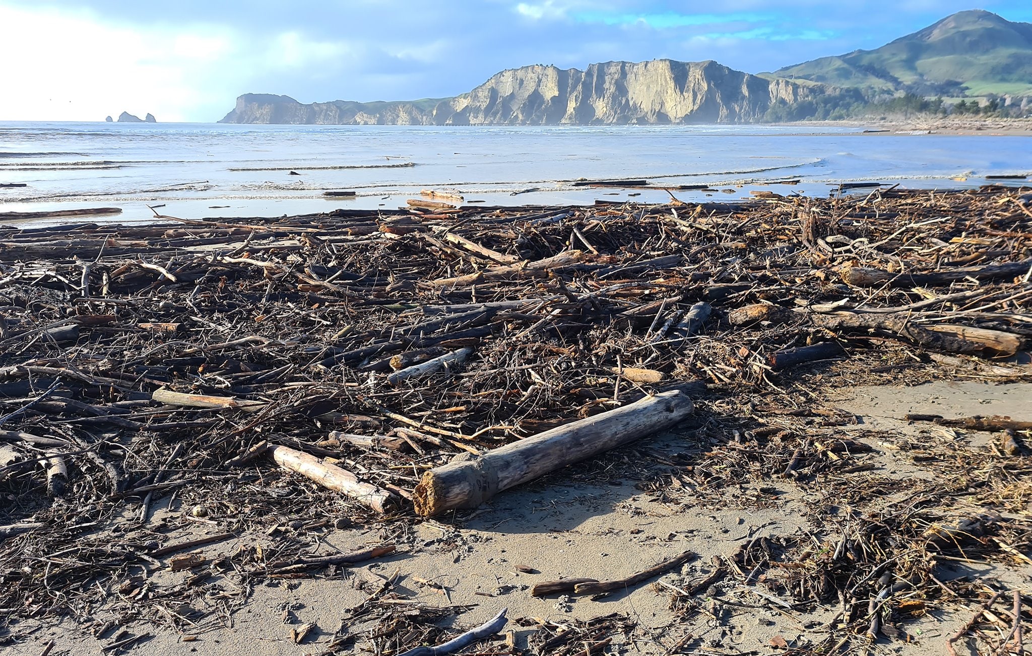 Slash strewn over the Uawa River mouth in Tolaga Bay.