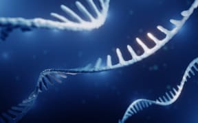 Illustration of RNA (ribonucleic acid).