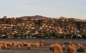 The rental home on the Port Hills in Nelson sat near the Tāhunanui slump – a large, slow-moving landslide - but the council said there were no known or reported slips on the property that was the focus of the Tenancy Tribunal decision.