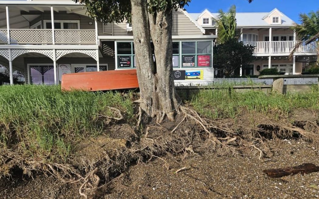 Erosion is exposing tree roots along Russell’s waterfront.