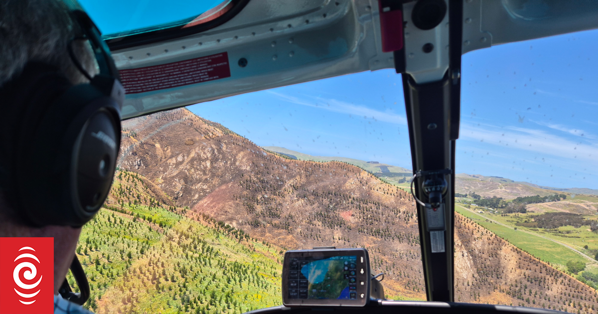 IKEA's Hawke's Bay pine tree expansion flames fears residents will be left to pay